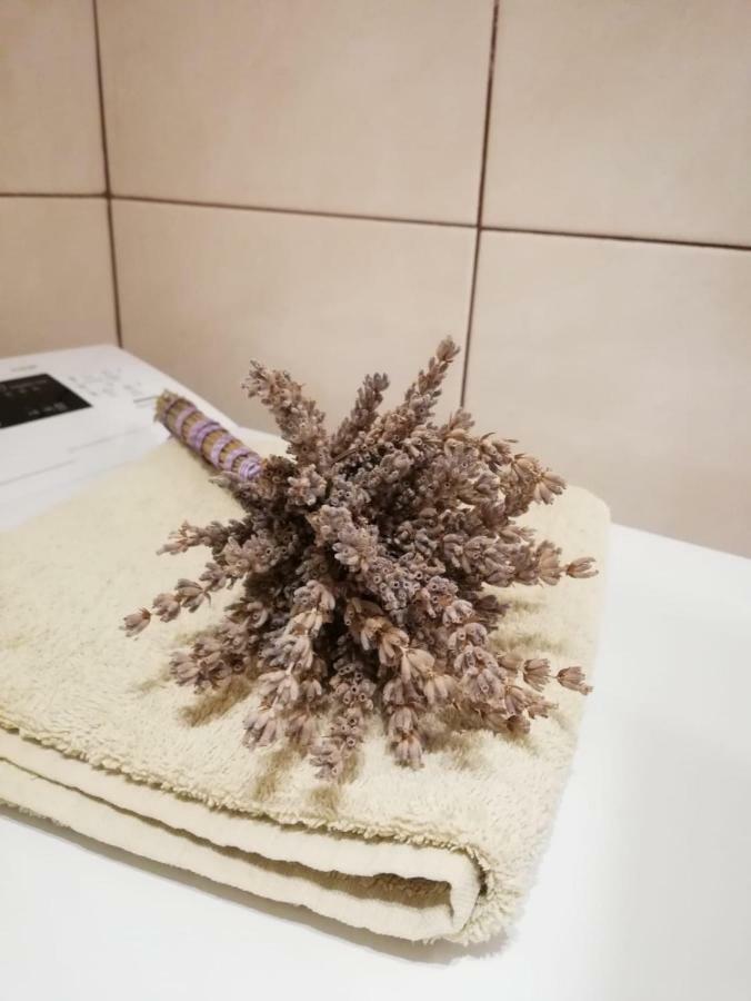 Apartman Jela Σίμπενικ Εξωτερικό φωτογραφία